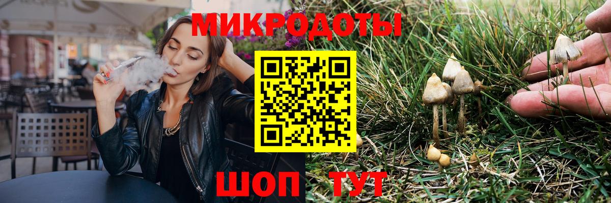 Кызыл  Псилоцибиновые грибы мухоморы  Вход с VPN 