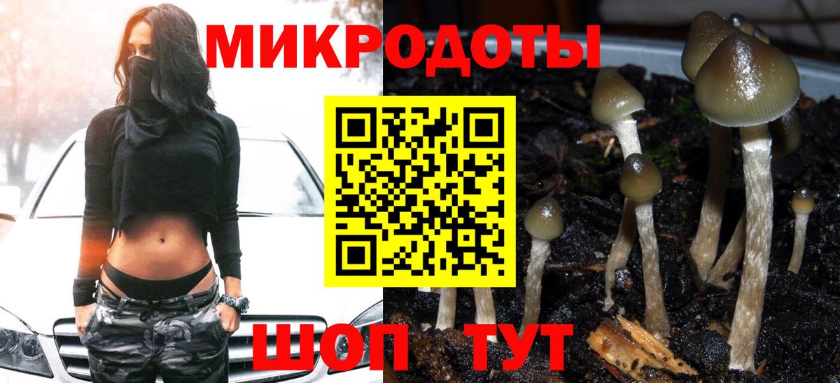 Купить закладку  Бошки Шишки  Вход с VPN  Кызыл  Гашиш  Меф кристаллы  COCAIN  MDMA 