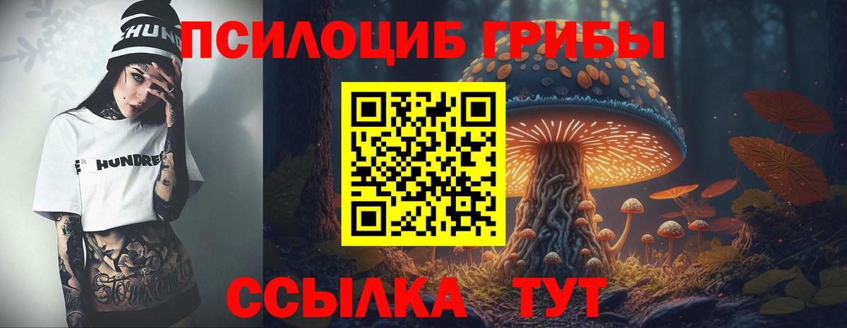 Псилоцибиновые грибы мицелий Кызыл